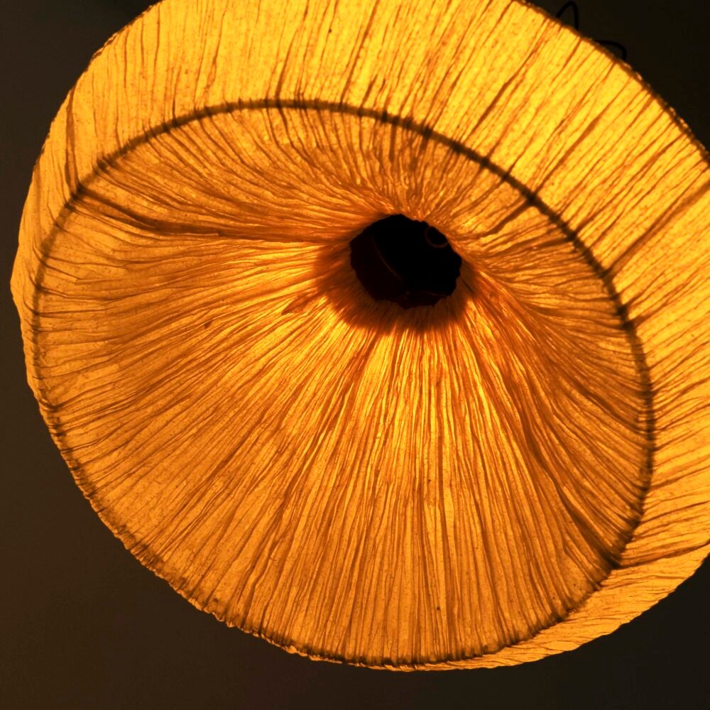 Dandelion Pendant Lamp - Image 23